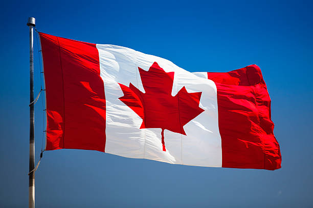 加拿大对外国干涉采取进一步行动,并增强对我们民主体制的信心